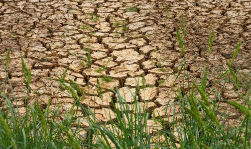 Cracked earth in a drought
