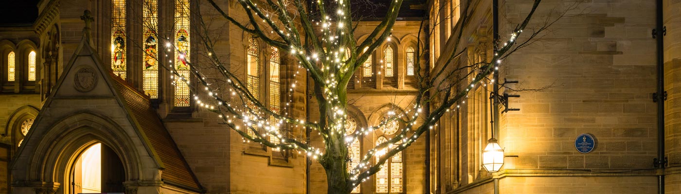 Tree adorned with fairy lights in the Old Quad