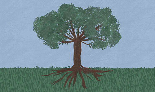 a drawing of a tree