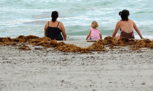 Couple on a beach with a toddler.