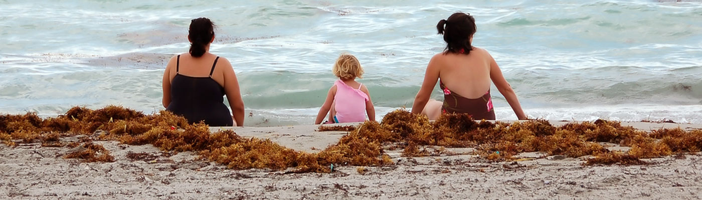 Couple on a beach with a toddler